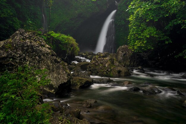 Foto de paisaje indonesio con cascada en la mañana y hermoso bosque tropical verde