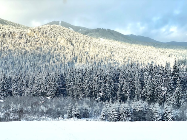 Foto paisaje de montaña de invierno con rayos de sol.