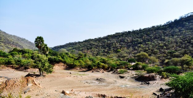 Foto una foto de un paisaje montañoso