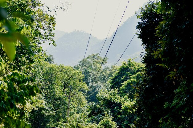 Foto una foto de un paisaje montañoso