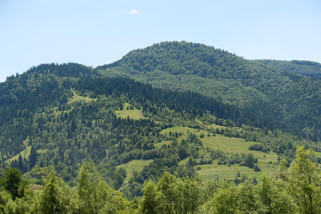 Foto paisaje de naturaleza bosques montañas contra el cielo.