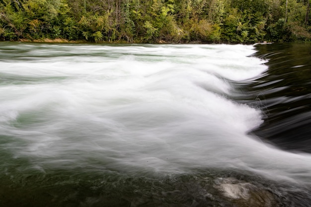 Foto foto panorâmica de um rio natural épico chamado dobra, na croácia, cercado por uma floresta