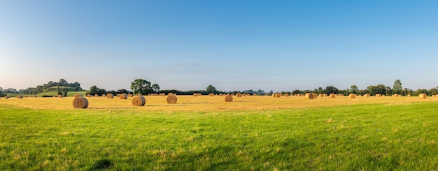 Foto panorâmica do campo agrícola com fardos de palha e céu azul.