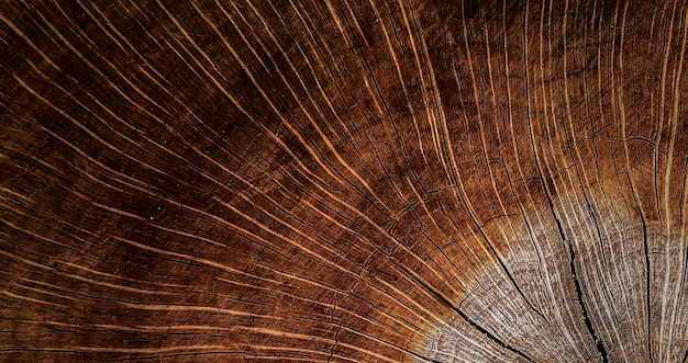 foto de un patrón de corte de árbol