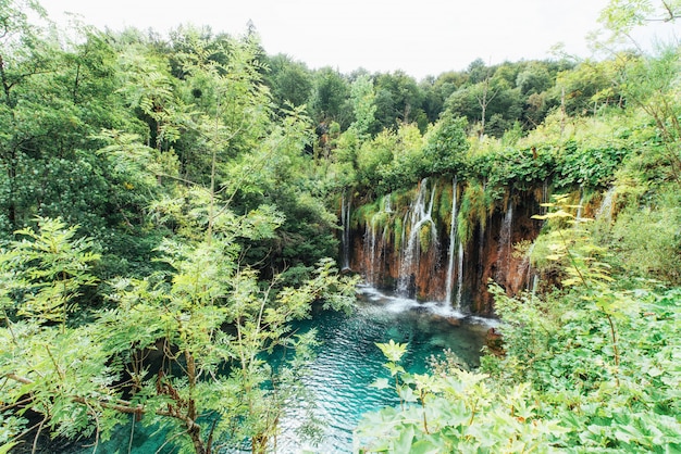 Una foto de los peces que nadan en un lago, tomada en el parque nacional Plitvice Croacia.