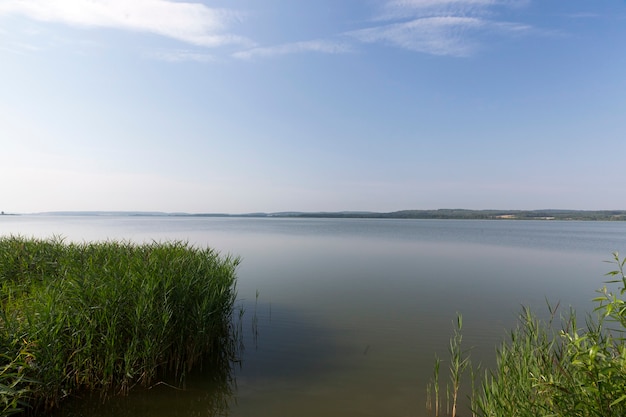 Foto de un pequeño lago en primer plano