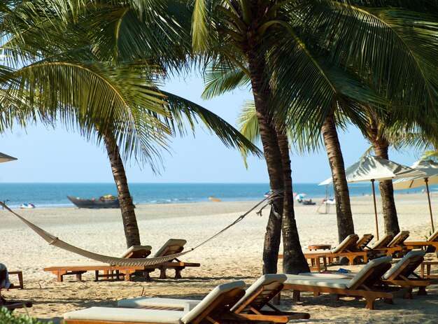 Foto perfekt schöner Strand Palolem in Goa in Indien