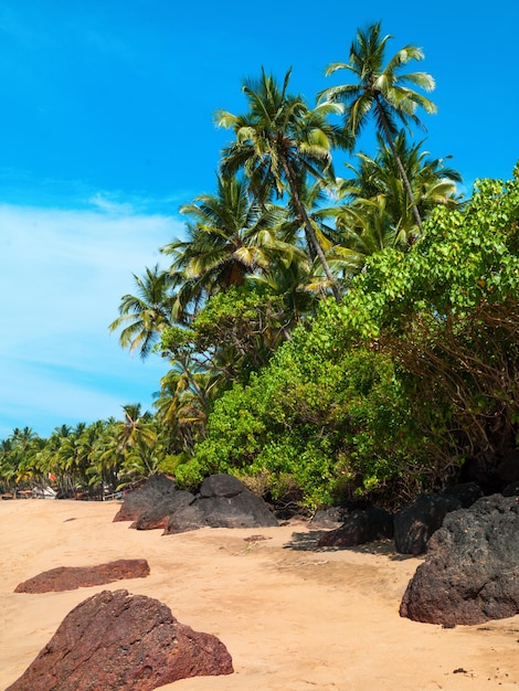 Foto perfekt schöner Strand Palolem in Goa in Indien