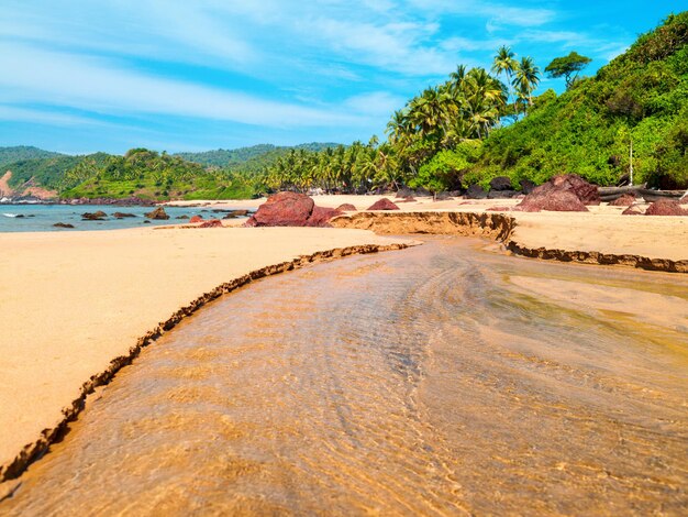 Foto perfekt schöner Strand Palolem in Goa in Indien