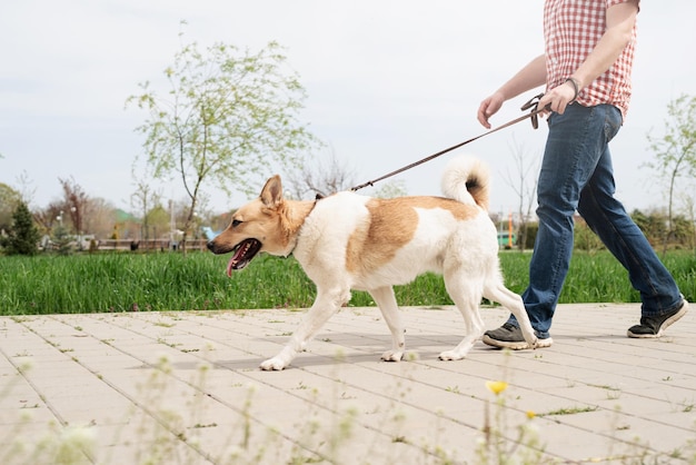 Foto de perfil de un joven paseando a su perro en un parque en un soleado día de primavera