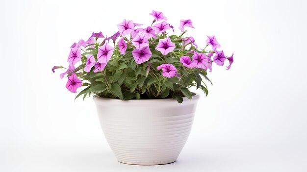 Foto de Petunia en maceta minimalista como planta de interior para la decoración del hogar