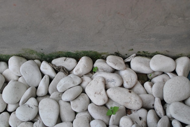 Foto de la piedra blanca en el borde de la pared.