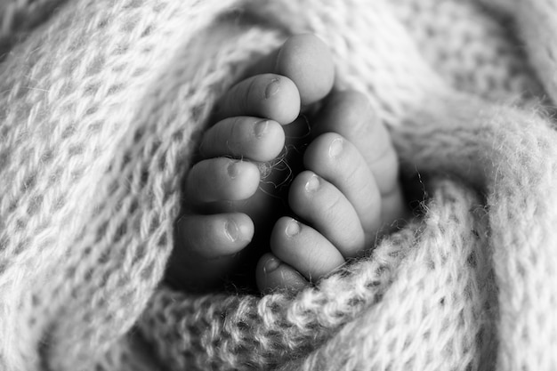 Foto de las piernas de un recién nacido. Pies de bebé cubiertos con lana de fondo aislado. El pie diminuto de un recién nacido en un enfoque selectivo suave. Imagen en blanco y negro de las plantas de los pies. Foto de alta calidad