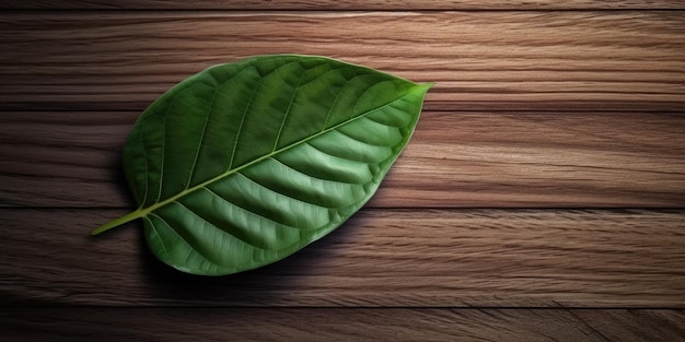 Foto plana de madera marrón y hoja verde a su alrededor copia el fondo del espacio Imagen generativa de IA weber