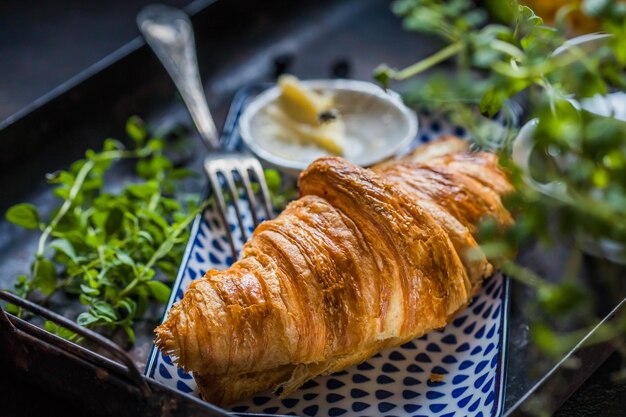 Foto foto de un plato de croissant