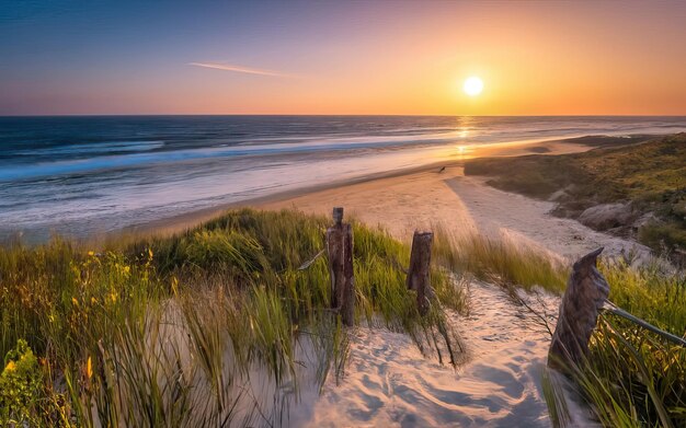 Foto de la playa del paraíso durante el día con la puesta de sol