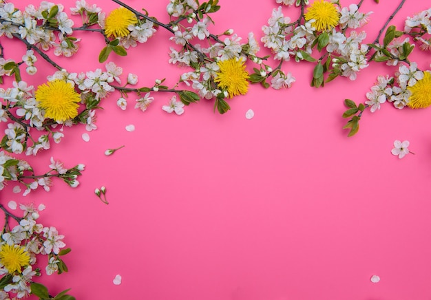 Foto foto de primavera árbol de flor de cerezo blanco sobre superficie rosa pastel