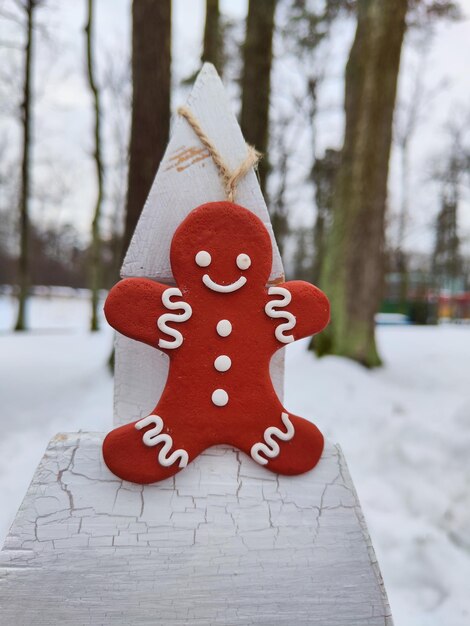 foto de primer plano de una figura navideña en forma de galletas