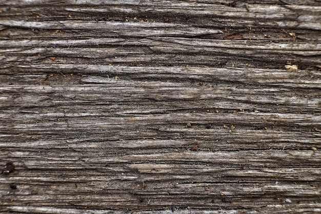 Foto foto de primer plano del fondo de textura de pared de madera gris antiguo