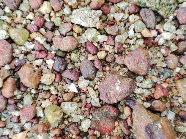 Foto foto en primer plano de guijarros en la playa