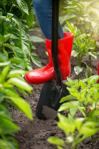 Foto en primer plano de una mujer joven en botas de goma roja cavando tierra con pala