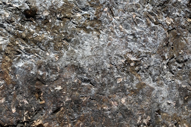 Foto de primer plano de la playa costera afiladas formaciones de piedra de roca marrón agrietada cubiertas con una capa sólida de minerales de sal en la imagen horizontal de fondo natural