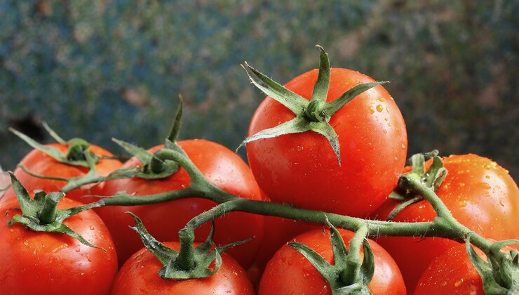 Foto publicitaria de tomates frescos en color rojo