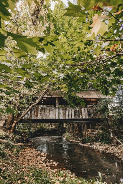 Foto foto del puente de madera durante el día foto