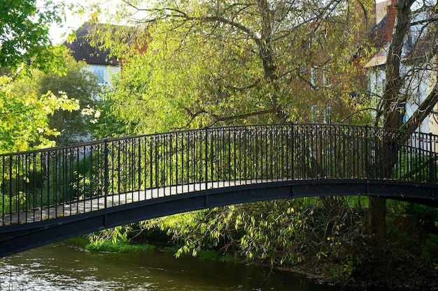 Foto del puente