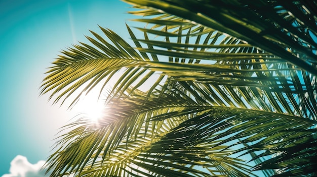 Foto de rayos de sol pasando a través de las exuberantes hojas de palmeras verdes fondo del concepto de verano en la playa