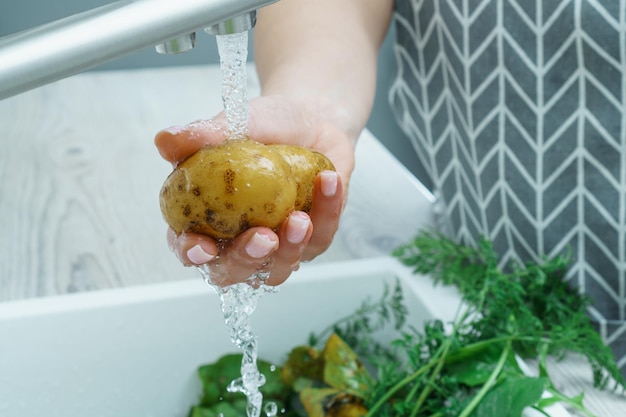 Foto recortada de mulher vestindo avental lavando batata com a mão sob água corrente na pia cheia de vegetação na cozinha