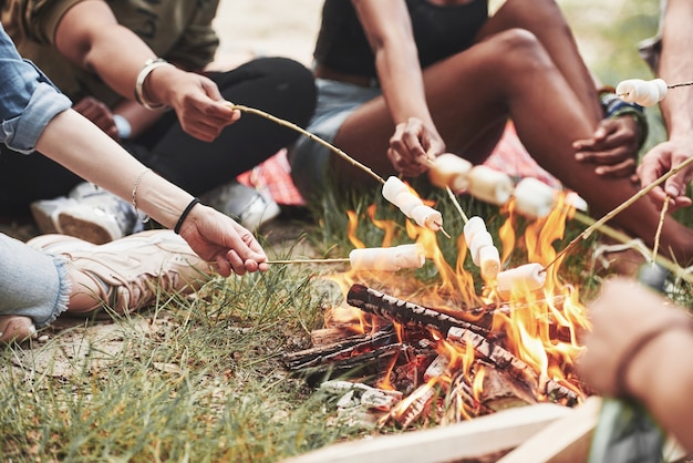 Foto recortada. Grupo de personas tienen picnic en la playa. Los amigos se divierten los fines de semana.