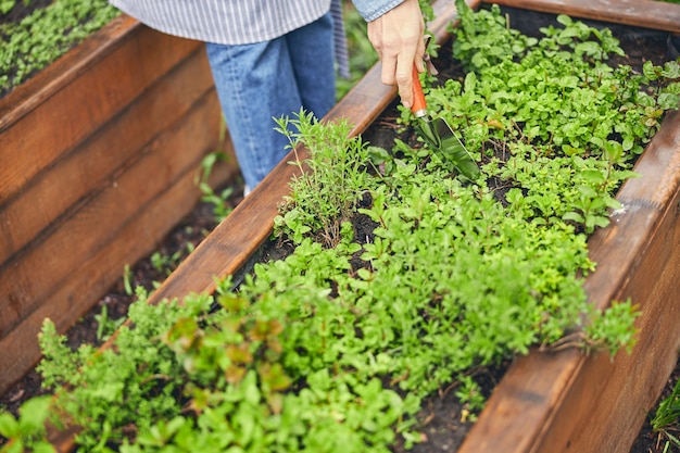 Foto recortada de un horticultor femenino caucásico calificado sosteniendo una herramienta de jardín en su mano