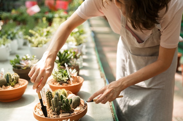 Foto recortada de jardinero mujer de pie sobre plantas de flores en invernadero trabajando