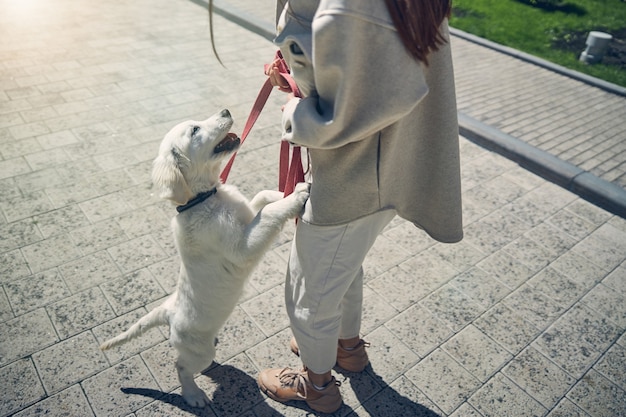 Foto recortada de una mujer joven de pelo largo en ropa casual inclinada hacia su mascota al aire libre