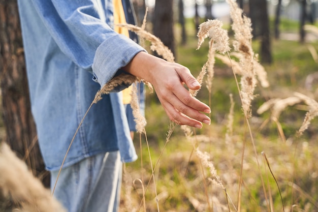 Foto recortada de una mujer en ropa casual tocando plantas silvestres secas con su mano