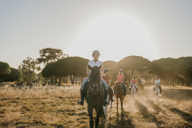 Foto retroiluminada de un grupo de jinetes a caballo en un bosque de pinos