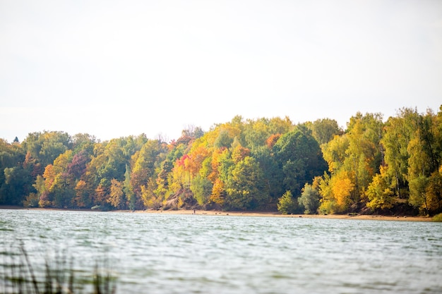 Foto del río de árboles de otoño