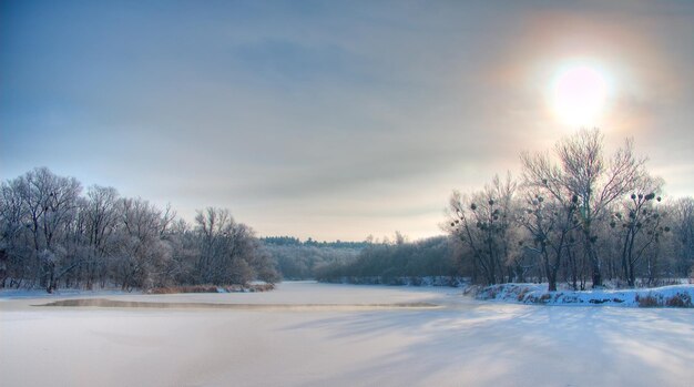 Foto el río cubierto de nieve no se congeló en inviernoEl río fluye en invierno Nieve en las ramas de los árboles Reflejo de nieve en el río Enormes ventisqueros yacen en la orilla del arroyo