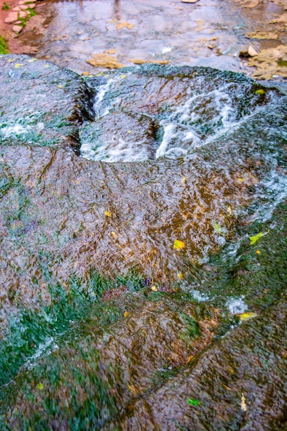 Foto del río de la montaña que fluye a través del bosque verde