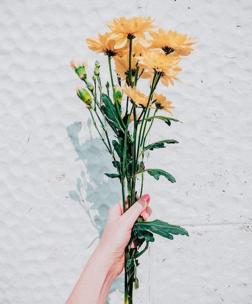 Foto con rosas y flores en la mano