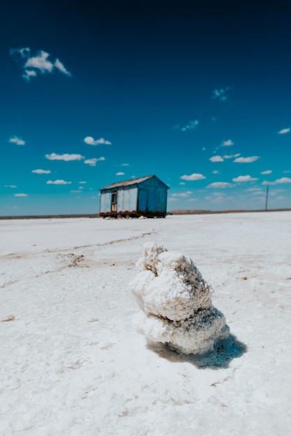 Foto de sal marina en la naturaleza.