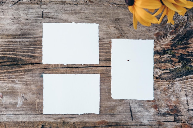 Foto de stock con estilo Maqueta de tarjeta de invitación floral de boda Vista superior de Flatlay Hoja blanca de papel