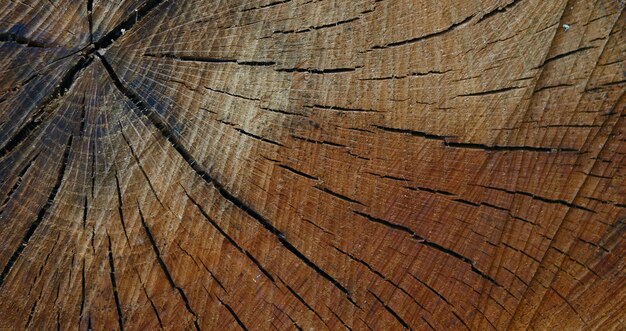 foto de superficie de madera texturizada natural