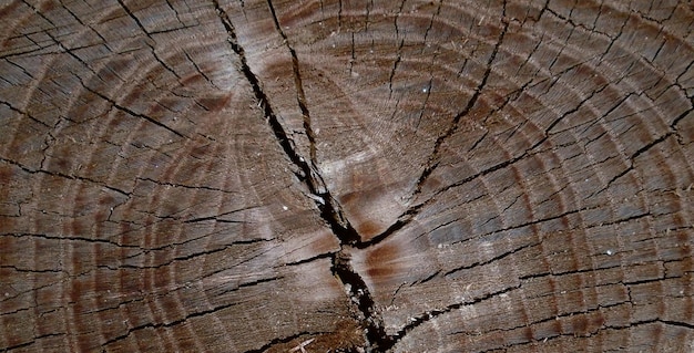 foto de superficie de madera texturizada natural