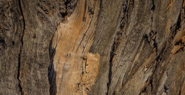 foto de superficie de madera vieja