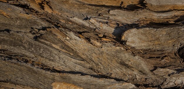 foto de una superficie de madera