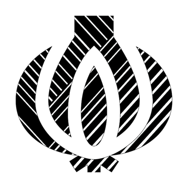 Foto foto-symbole zwiebelsymbole schwarz-weiße diagonale linien
