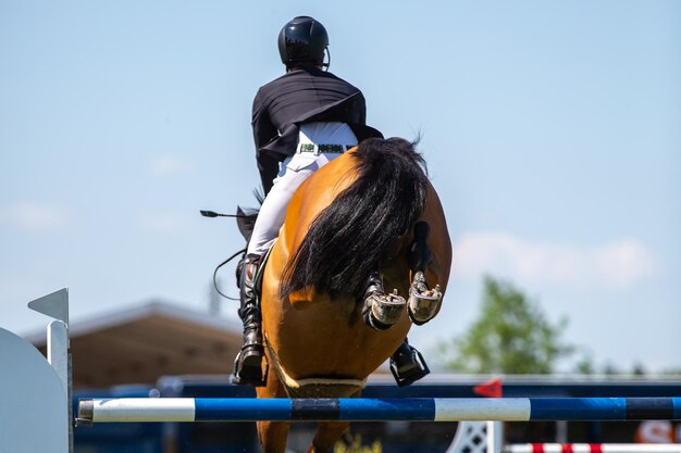 Foto foto temática de desportos equestres de salto de cavalo