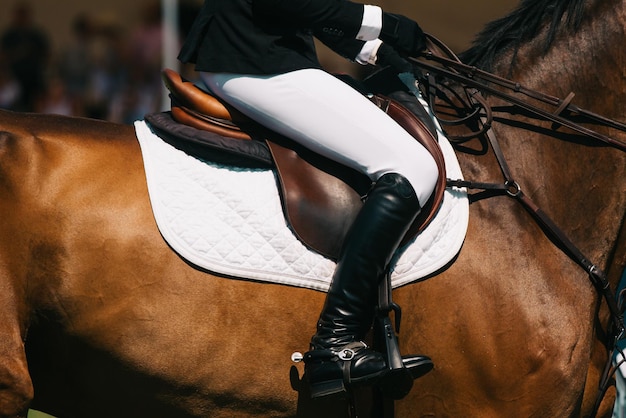 Foto temática de saltos de caballos y deportes ecuestres